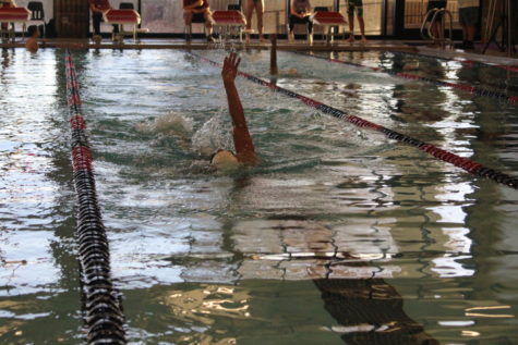 Swim and Dive Host Home Meet